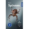 Basic Spinnen: einfach und sicher erkennen