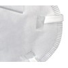Honeywell Safety DF300 H910P N95 Flatfold Disposable Respirator - Box