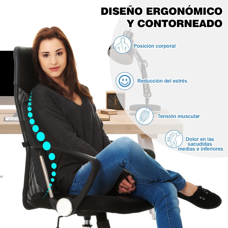 Quirlig Lumbar Cushion, Lumbar Cushion Car, Lumbar Support Car, Back
