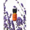 Lavanda Vera (lavender essential oil) 10ml / 라반다 베라(라벤더 에센셜오일)
