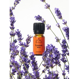 Lavanda Vera (lavender essential oil) 10ml / 라반다 베라(라벤더 에센셜오일) 10ml