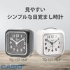 Casio Analog Travel Clock