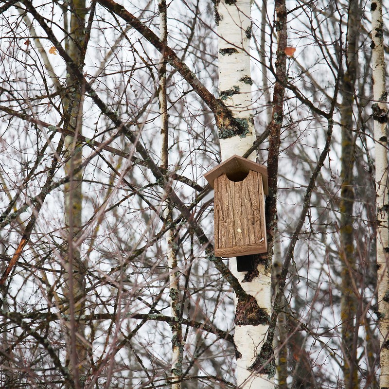 Outer Trails Japanese Cedar Wooden Owl Houses, Bark Front