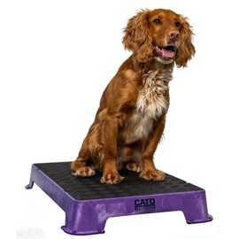 Cato Board - Dog Training Platform (Purple, Rubber Surface)