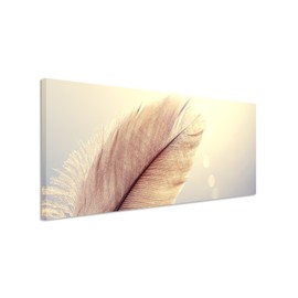 Paul Sinus Art Panorama Picture 150 x 50 cm Nature Photography - Feather on Ombre Blue Background on Canvas Exclusive Wall Picture Modern Photography for Your Wall in Many Sizes