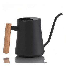 Stainless Steel Watering Can for Indoor Plants, 1000ML Retro Design with Wooden Handle, Eco-Friendly Small Plant Waterer (Black)