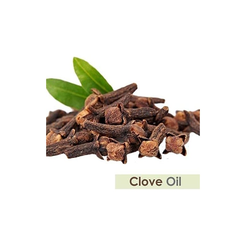 Clove Oil (Syzygium aromaticum) 100% Pure & Natural Undiluted Uncut