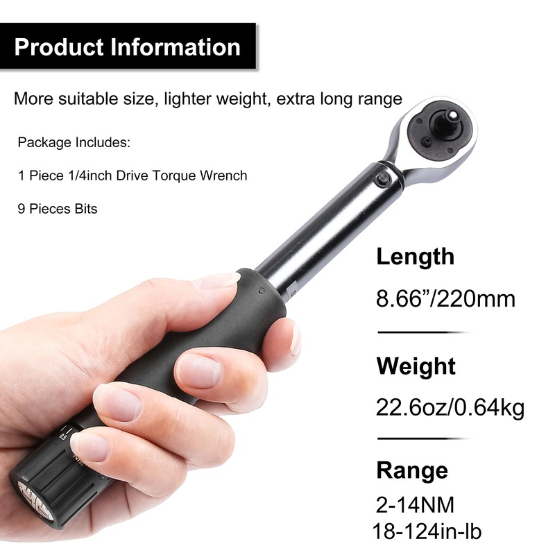 Flytuo 1/4 Inch Drive Click Torque Wrench Set, 2 to