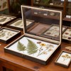 Cabilock Wooden Display Case Wooden Collection Box with Clear Glass