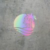 Palm Trees (Hologram) (Set of 2) Premium Waterproof Vinyl Decal