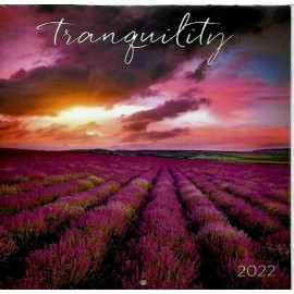 Dayspring Tranquility Mini Wall Calendar: A 2022 16 month Calendar Bonus 2021 & 2023