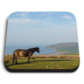 1 x Square MDF Fridge Magnet - Exmoor National Park Devon 3262