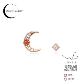 [Custom Made] Aquarius Dear Moon Garnet Unbalanced Constellation Earrings OTE120611B 0.0 - 0.0 / [주문제작] 물병자리 디어문 가넷 언발란스 별자리 귀걸이 OTE120611B 0.0 - 0.0
