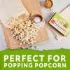 PaperChef – Parchment Bags – Multipurpose, Non-Stick – Ideal for