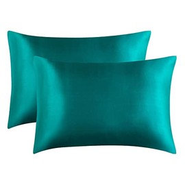 Silk Pillow case for Hair and Skin Queen - Pillow cases 2 Pack 20x30 inches - Pair of Silk Pillow Covers Pillow Cases Set of 2 (Blue)