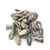 Bricktown Goods Salt and Balsamic Vinegar Flavored Sunflower Seeds -