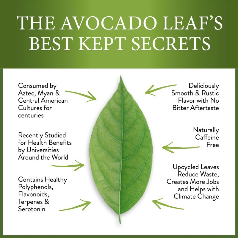 Avocado Leaf Tea – Peach Blend | 8-Pack Single Serve