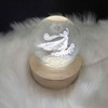 Enchanted Fairy Crystal Ball – 3D Laser Engraved Magic Orb