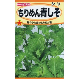 to-hoku Crepe Blue College