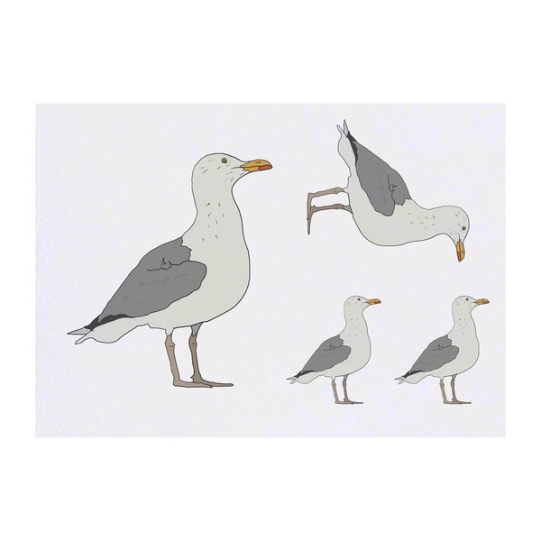 Azeeda 4 x 'Stolze Möwe ' Temporäre Tattoos - Wasserfest,