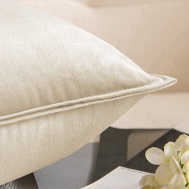MIULEE Pack of 2 Velvet Cushion Covers Sofa Cushions Soft Decorative Square Throw Pillow Case Flange Pillowcases for Livingroom Sofa Bedroom 30cm x 50cm 12x20 Inch Beige