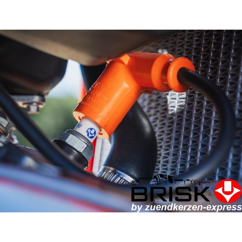 BRISK Super AR10C 1929 Spark Plugs (Pack of 2)