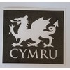 10 x Welsh Dragon Picture with Cymru Word Underneath Stencils