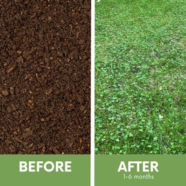 Flawn Seed Kits Micro Clover Plus Mow Less Grass Seed Shaker Jug, Great for Dogs, Kids, Shade, Covers up to 1000 SqFt