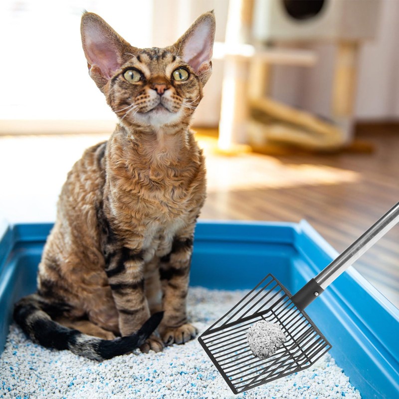 PUPTECK Fast Sifting Cat Litter Scoop - Long Handle Chicken