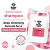 Watermelon Dog Shampoo by Buddycare | Deep Cleansing Shampoo for
