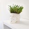 FISURA - Original Eye Flower Pot Decorative Planter Indoor Pot.