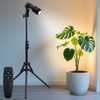 XINCLING 10W Spot Lights Indoor, 22-63.5” Adjustable Tripod & E26