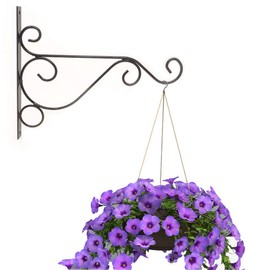 Yueton - Juego de 2 ganchos de pared de hierro fundido para pájaros, macetas, faroles de viento como soportes de pared de 25,4 cm, Negro