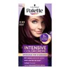 Palette Tinte para cabello color creme, borgona intenso 4-89, 0.165