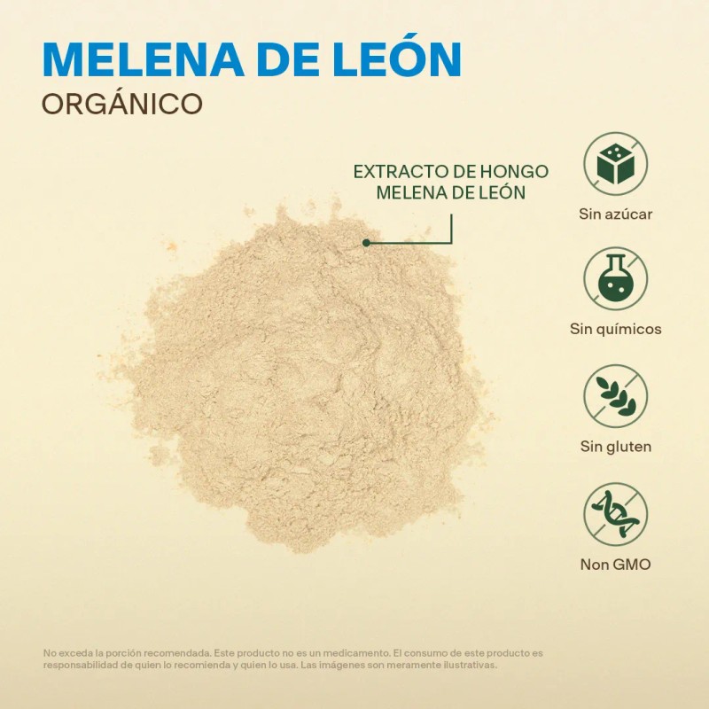 Extracto Hongo Melena De León Orgánico Polvo 100g Adaptogeno Sabor