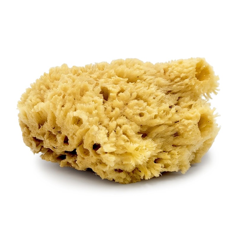 Baudelaire Sea Wool Sponge 5.5" - Natural Sea Sponge for