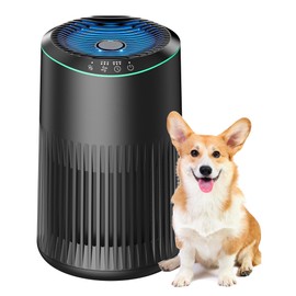 MERONTE Air Purifiers for Home, Air Purifier for Smoke Odors with Fragrance Sponge, Small Air Purifier with Sleep Mode for Bedroom Office, Blue Night Light, Black, 1 Pack+3 Modes