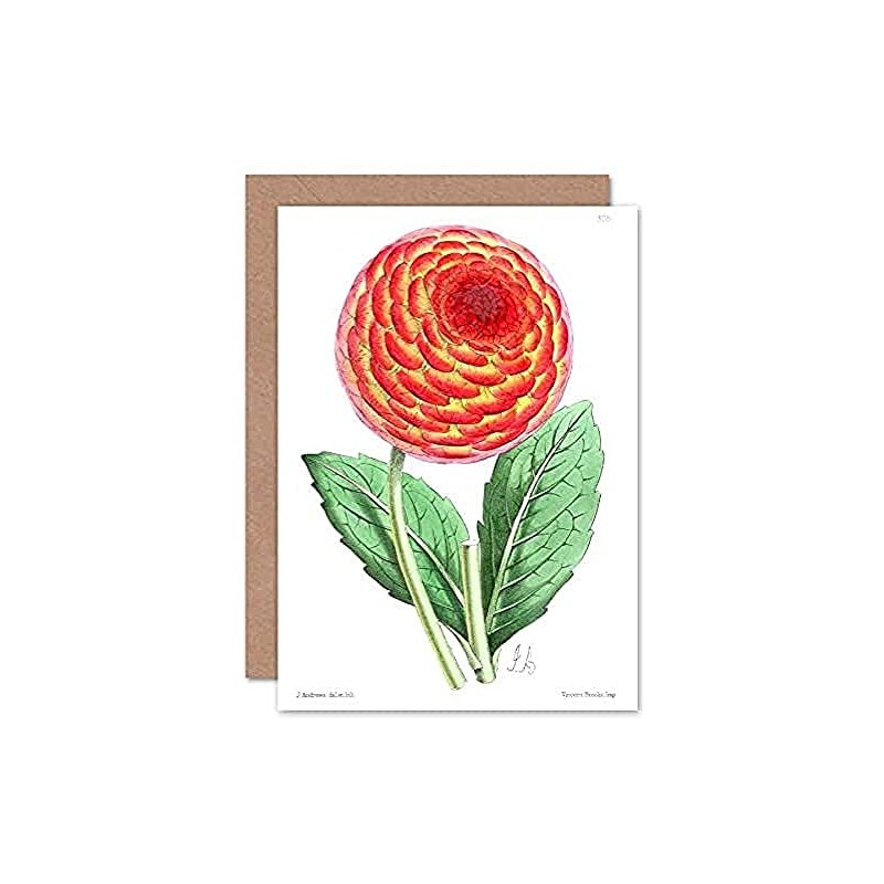 Flower Red Orange Dahlia Greeting Card With Envelope Inside Premium