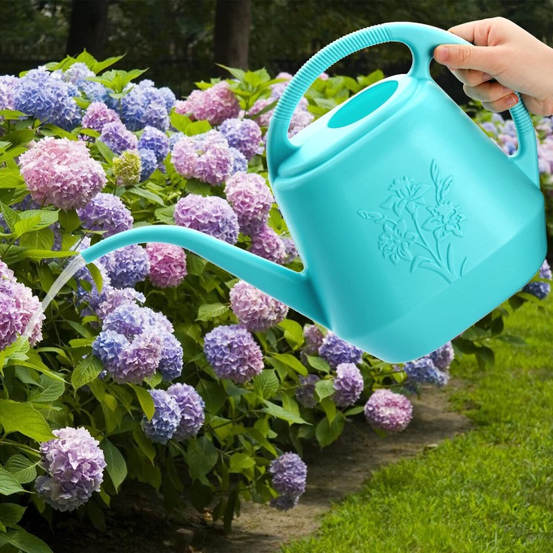 Fasmov 1-Gallon Plastic Watering Can with Comfortable Handle, Garden Watering