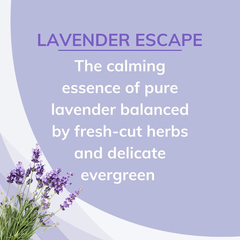 Citrus Magic Odor Absorbing Solid Air Freshener, Lavender Escape, 8