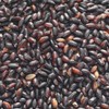 Akita Black Rice, Kuromai, Black Rice, Black Rice, Chicken Blood,