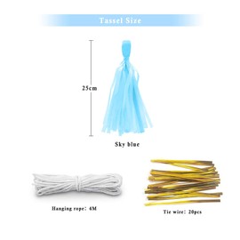 Binpeng 9.8in Tissue Paper Tassel DIY Hanging paper decorations Party Garland Decor for Party Decorations Wedding,Festival,Baby Shower Decoration 20PCS (sky blue 25cm)