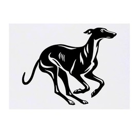 Azeeda 'Windhund läuft' Temporäres Tattoo - Hautfreundlicher & Ungiftiger Abziehbild · Wasserfest (TO00085463)