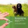 Dorwest Green Releaf Tablets, 200 Tablets, Natural Supplements for Dogs
