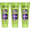 Garnier Hair Care Fructis Style Curl Scrunch Controlling Gel for