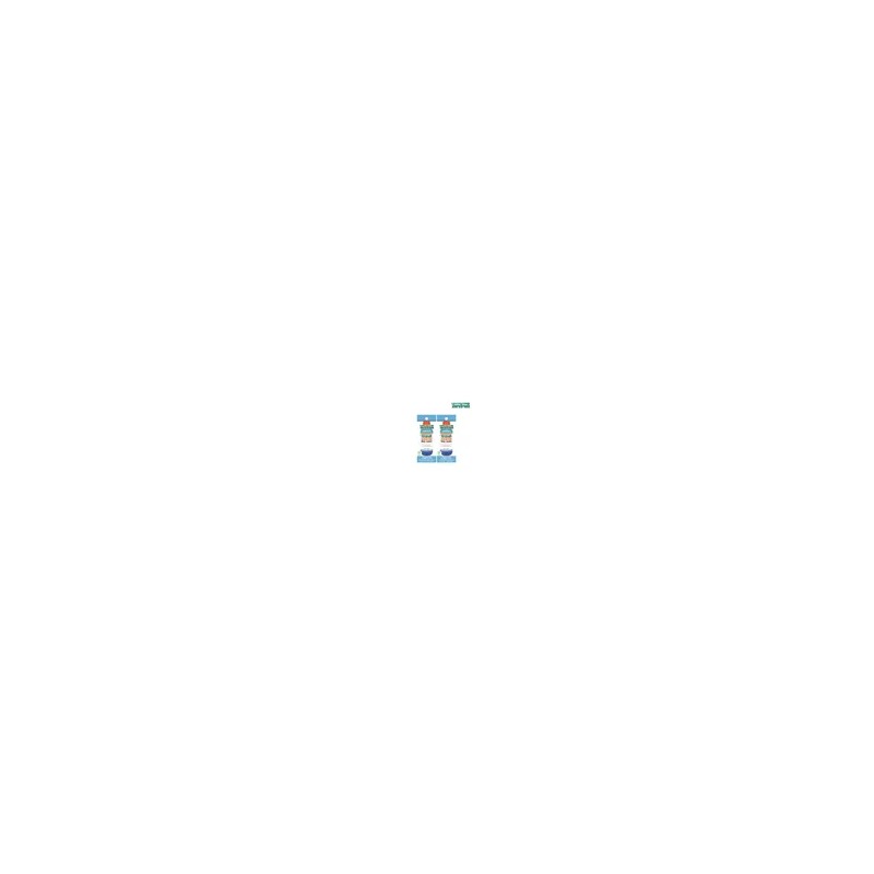 테라브레스 TerraBreath Portable Gargle Icy Mint Gargle 12ml 6-pack x2
