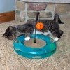 Kitty City Swat Track Cat Toy, 3 Toys in 1