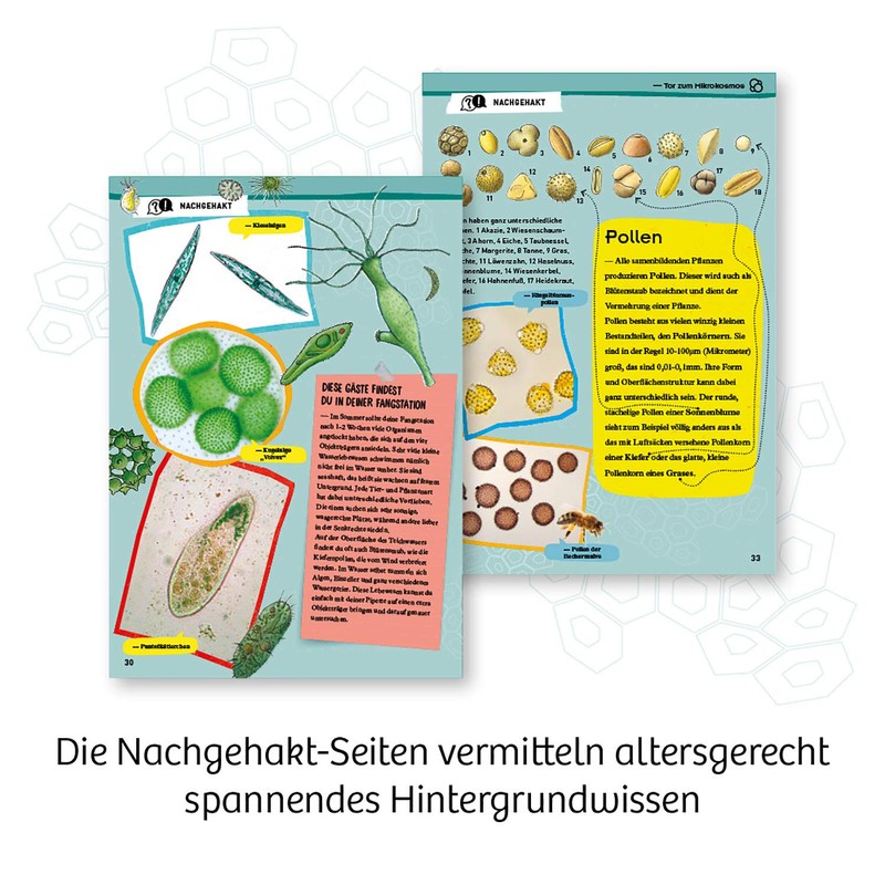 KOSMOS 636050 Explorer Microscope Experiment Box for Children