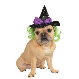 Rubie's Star Witch Hat with Hair Pet Accessory, Medium/Large
