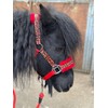 EQUIPRIDE HEADCOLLAR AND LEAD ROAD SET FAUX FUR FUN PRINT